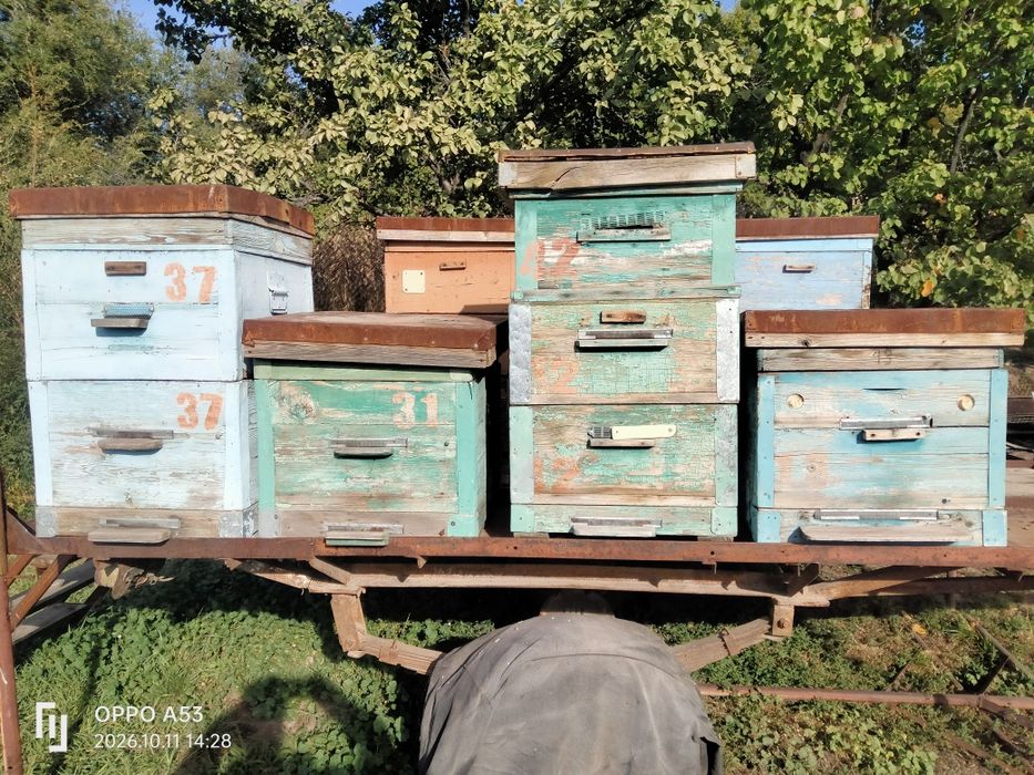 Продам улья дадан