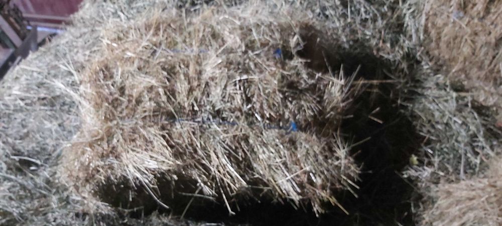 VÂND fân in baloti