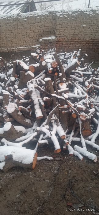 Oʻrik oʻtin sotiladi kelishilgan holda