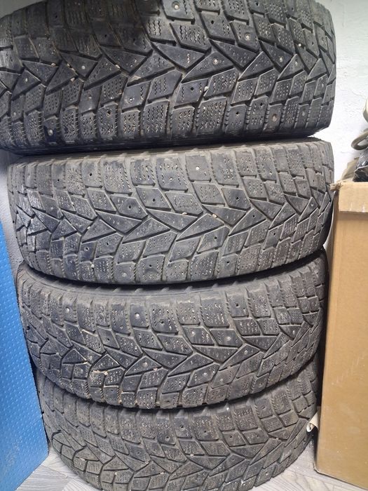 Шины зимние Dunlop