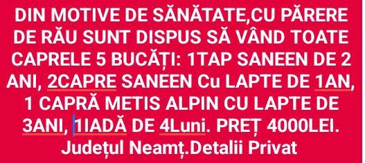 Capre de vânzare