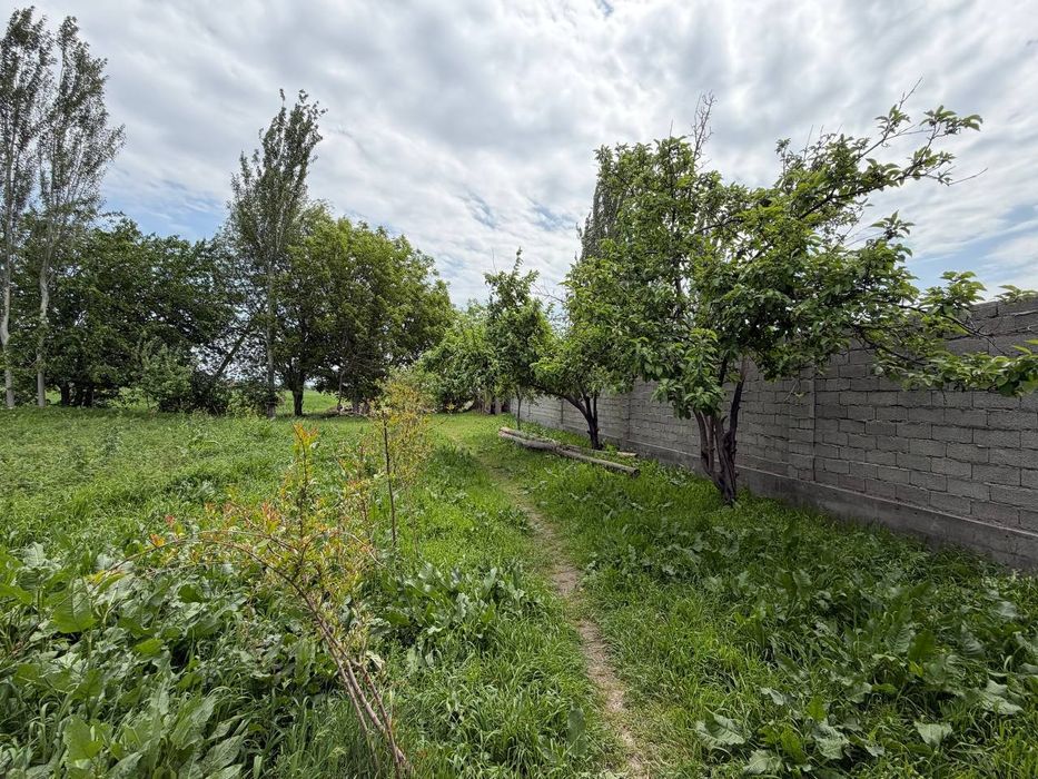 Продаётся частный дом с участком 25 соток (рядом с городом)