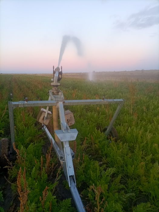 Продам крестьянское хозяйство