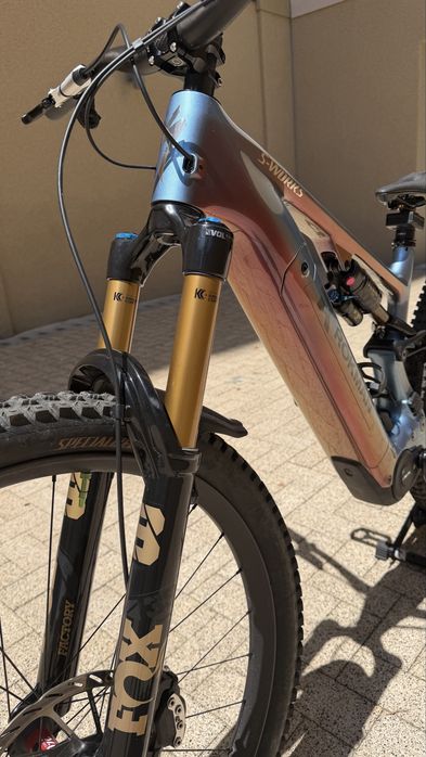Specialised Turbo Levo Sworks