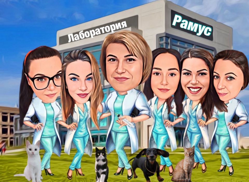 Карикатура по поръчка