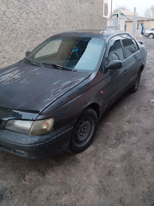 Карина е на ходу