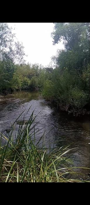 Продам дачу акимовка около молодёжный