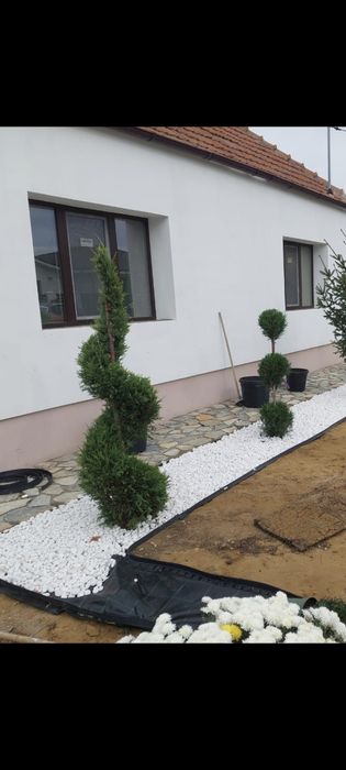 Piatră ornamentală