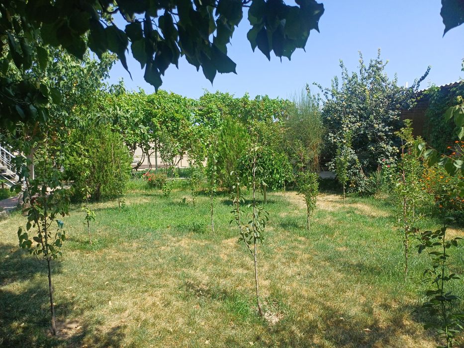 Uy (hovli) sotiladi