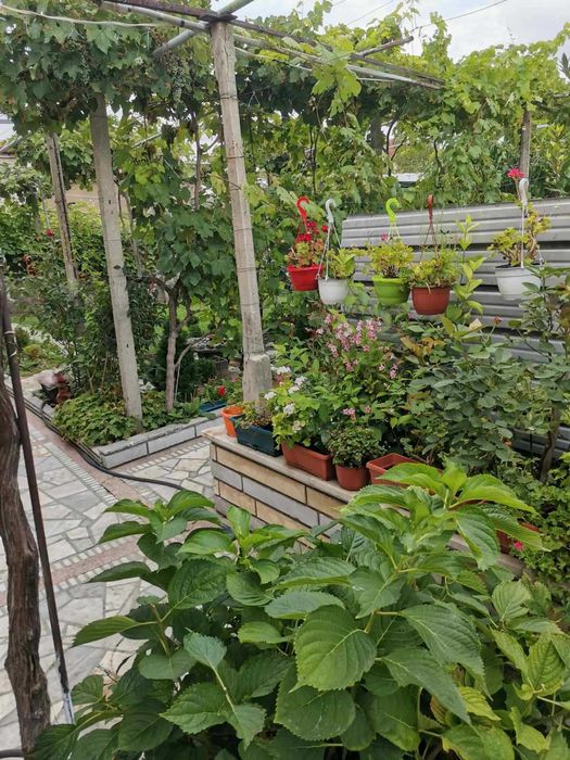 Продава се Къща в с. Исперихово, Област Пазарджик - 100 кв.м за 750 €/кв.м - Снимка #3