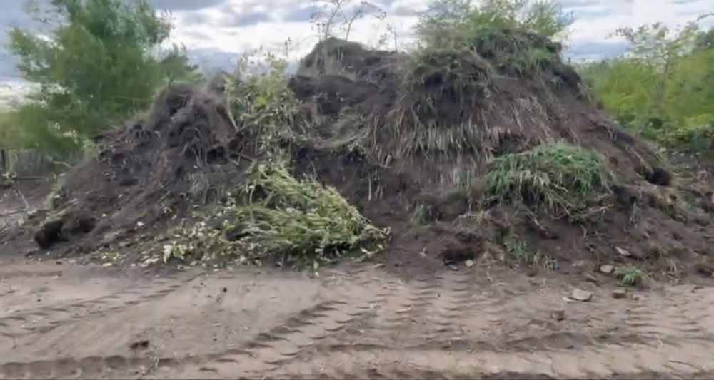 Грунт с травой с дачной земли