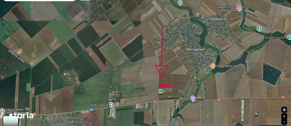 Teren intravilan Belciugatele*300 m de DN*Linie de tensiune medie*Plat