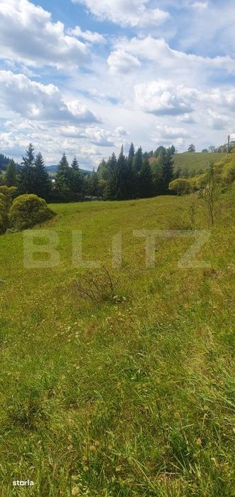 Teren intravilan, 7.362 mp, zona  Vatra Dornei