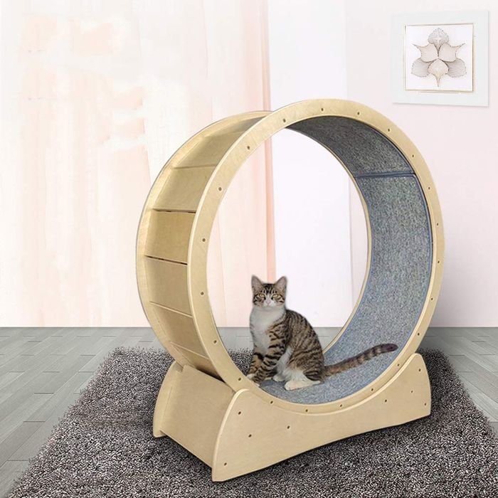 Roată (banda ) de exerciții  (alergat) pentru pisici. Produs sigilat!