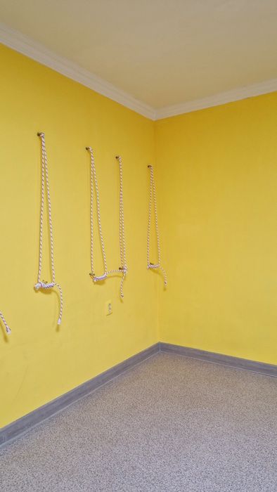 Аренда зала 30 кв м