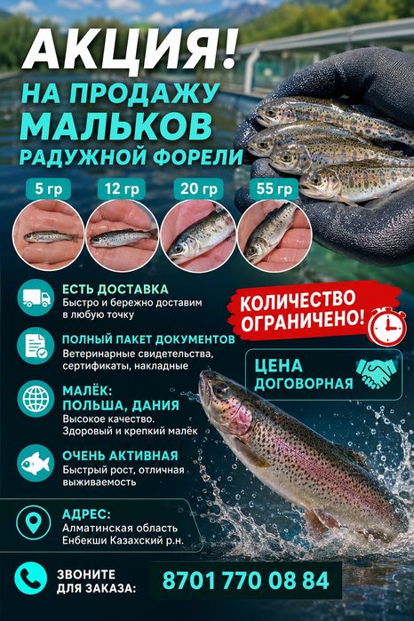 Продаётся мальки форели