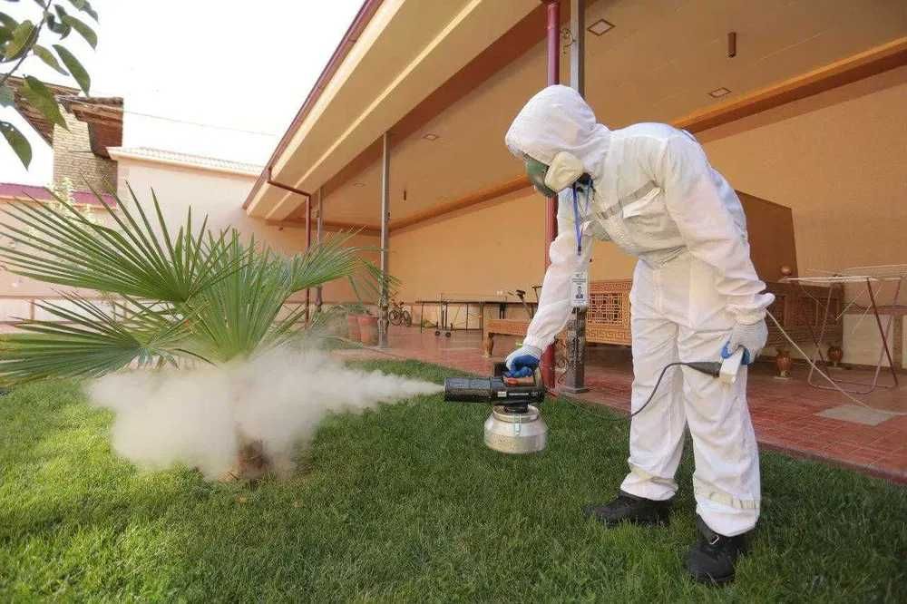 Дезинфекция Dezinfeksiya 24/7 обработка клоп, таракан, запахи, плесень