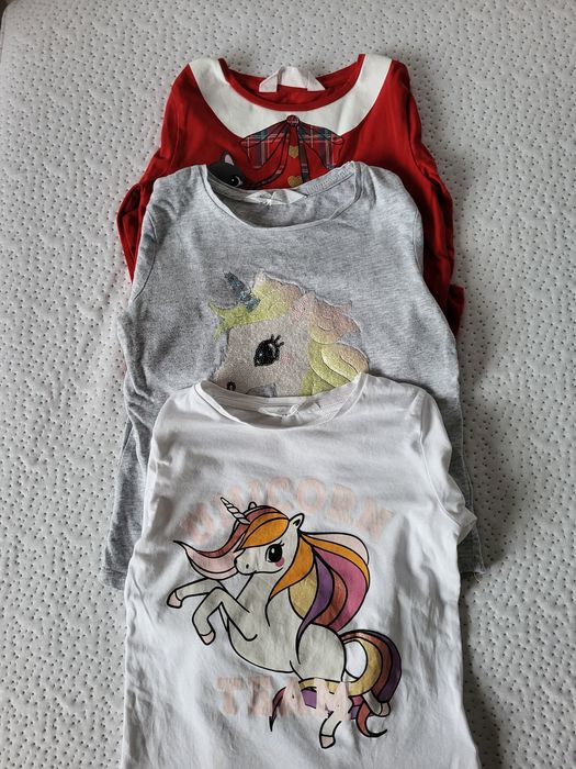 Lot 19 bluze mărime 110-116 4-6 ani