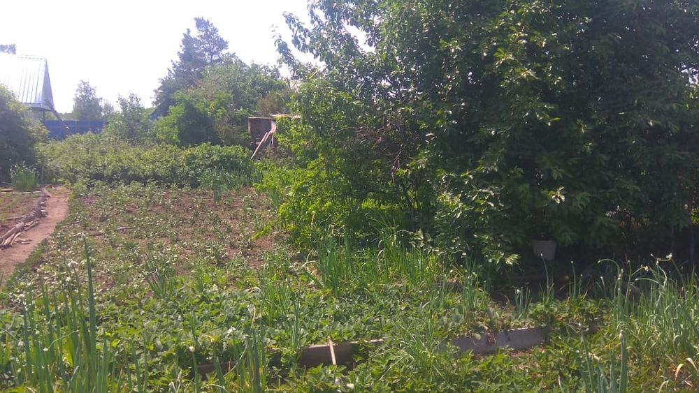 Продам Дачу в СО "Элеваторщик"