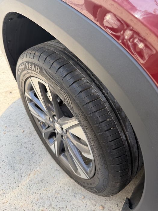 Tracker Premier plus 2024