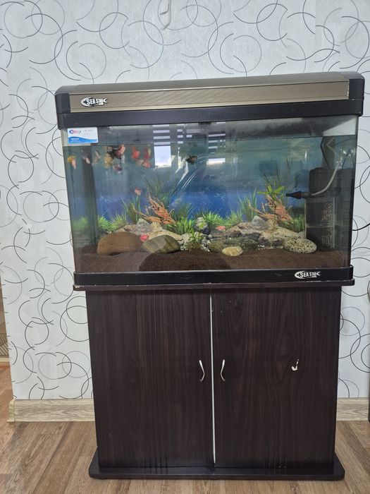 Аквариум с рыбками