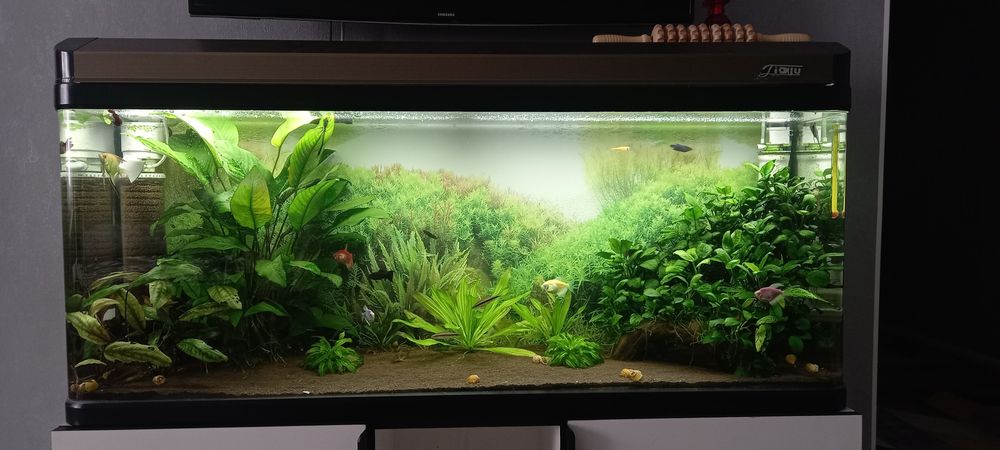 Аквариум 200 литров срочно торг