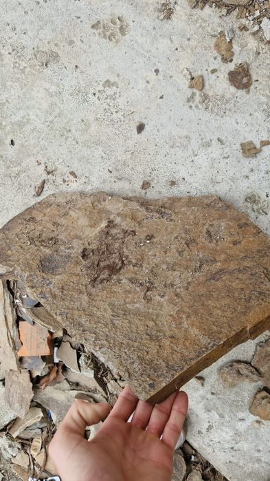 Piatră naturală 24 lei mp