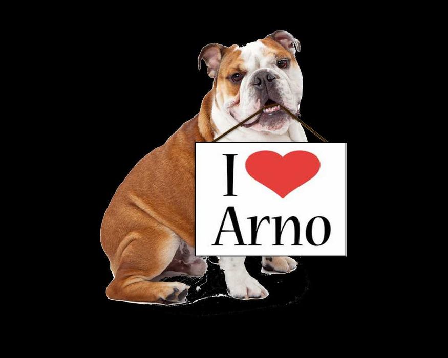 Електрическо килимче за домашни любимци непромокаемo