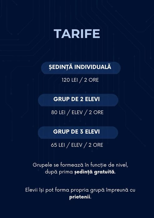 Meditatii Informatica Online