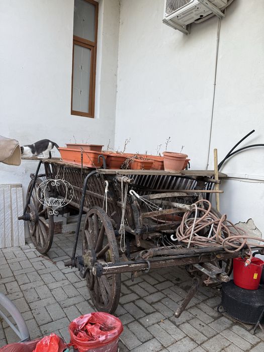 Caruta veche rustica pentru gradina de ornament cu flori