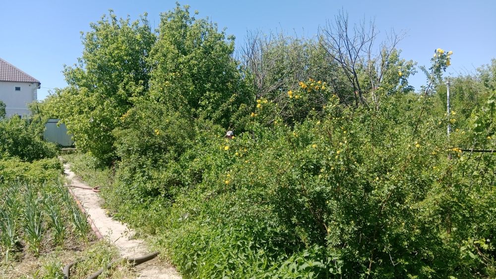 Продам дачю 8 соток