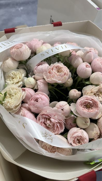 Пионы (сегодня купила)