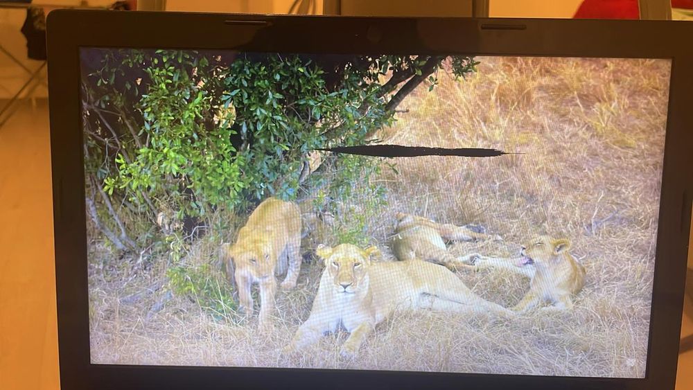 Продам ноутбук LENOVO