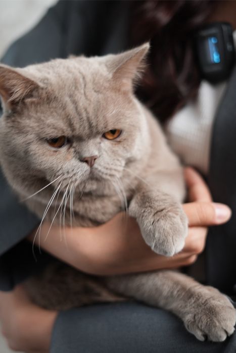 It bilan jinsiy aloqada bolgan ayolning video