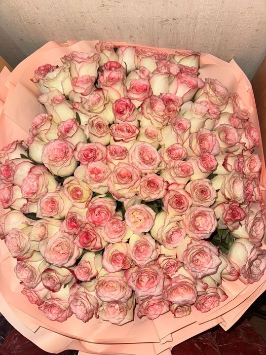 Роза 101(свежий)