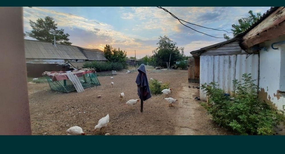 Продаётся дом в с.Дарьинское