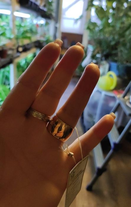 Золотое кольцо 583