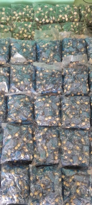 Qurt ishlab chiqaramiz