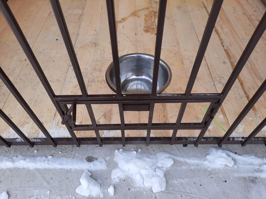 Вольер для собаки