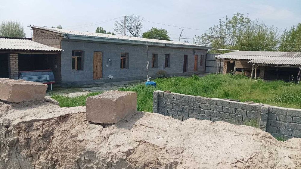 уй Янгийул Кора тепа 15 сотих +ферма