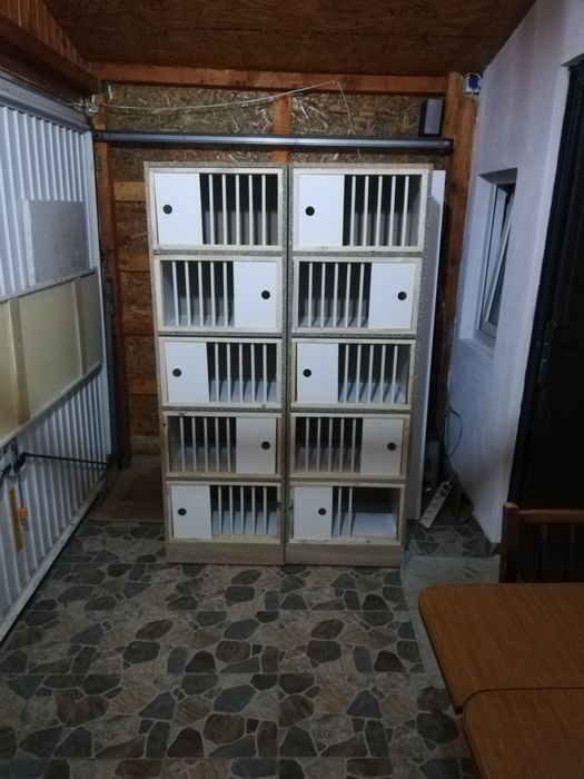 Boxe porumbei rafturi + fete