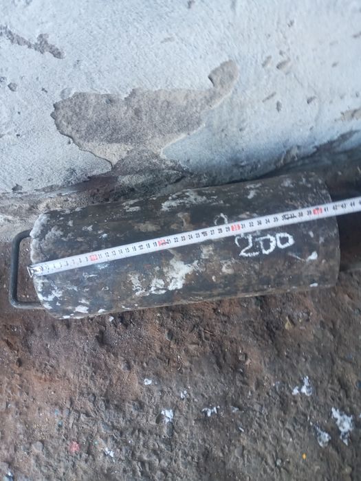 Кругляк днловой .