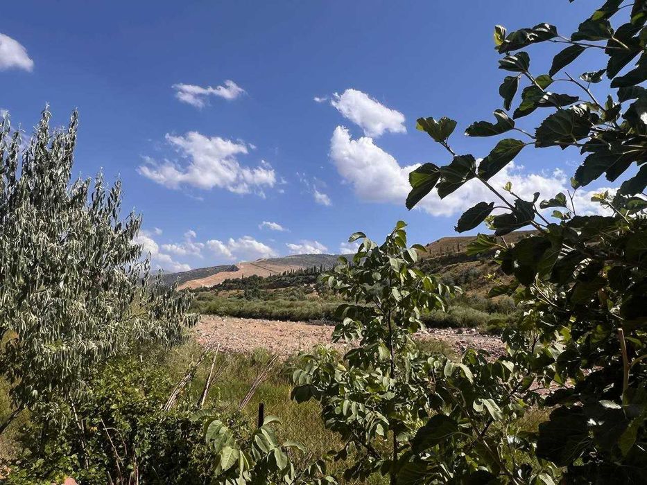 Продается дача срочно! Напишите в телеграм скину видео дачи.