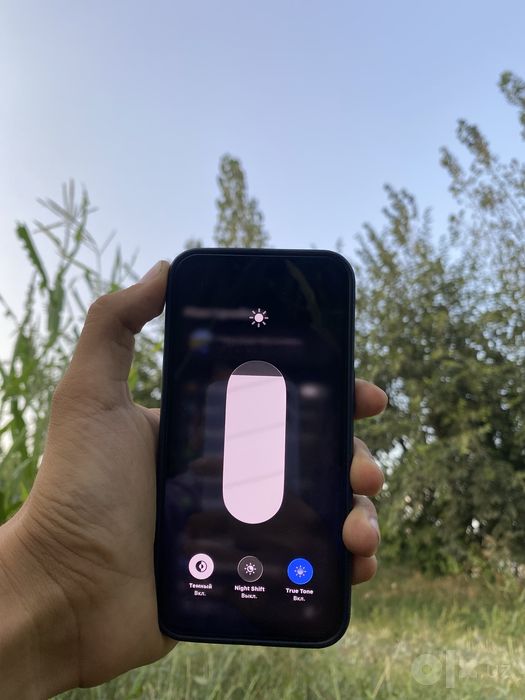 iPhone 13 hamma joyi radnoy
