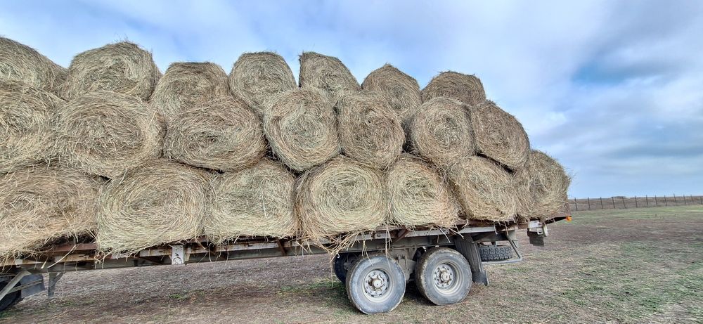 Продам сено разнотравие.