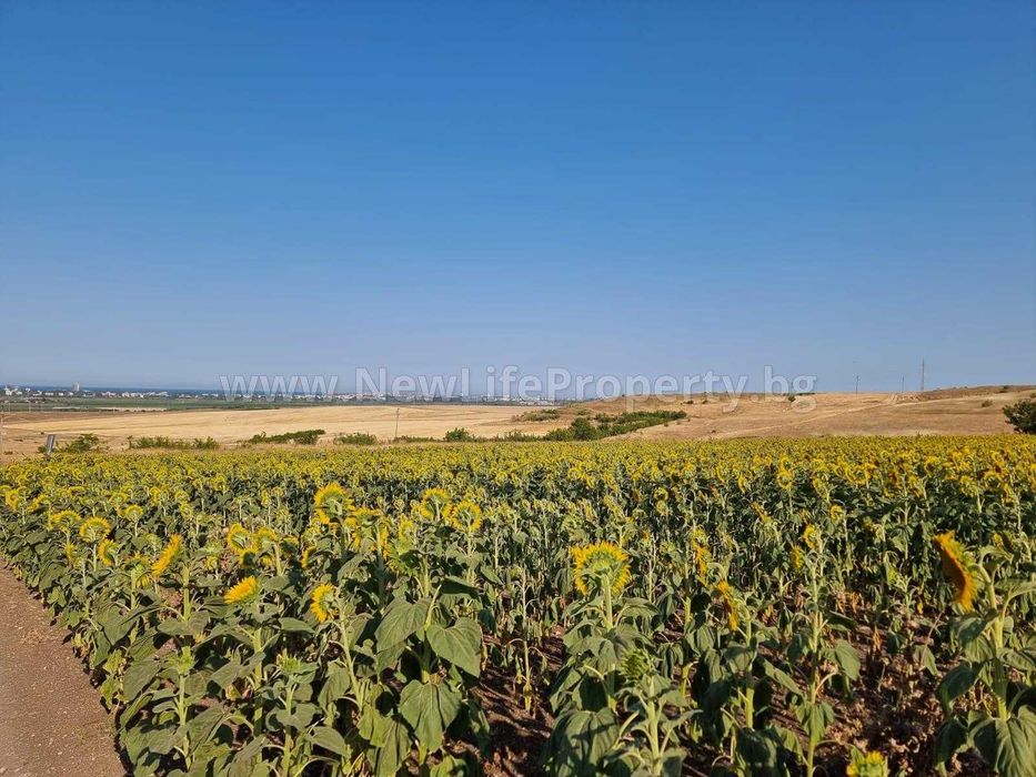 Парцел в регулация, м. Кайряка, с. Тънково, обл. Бургас