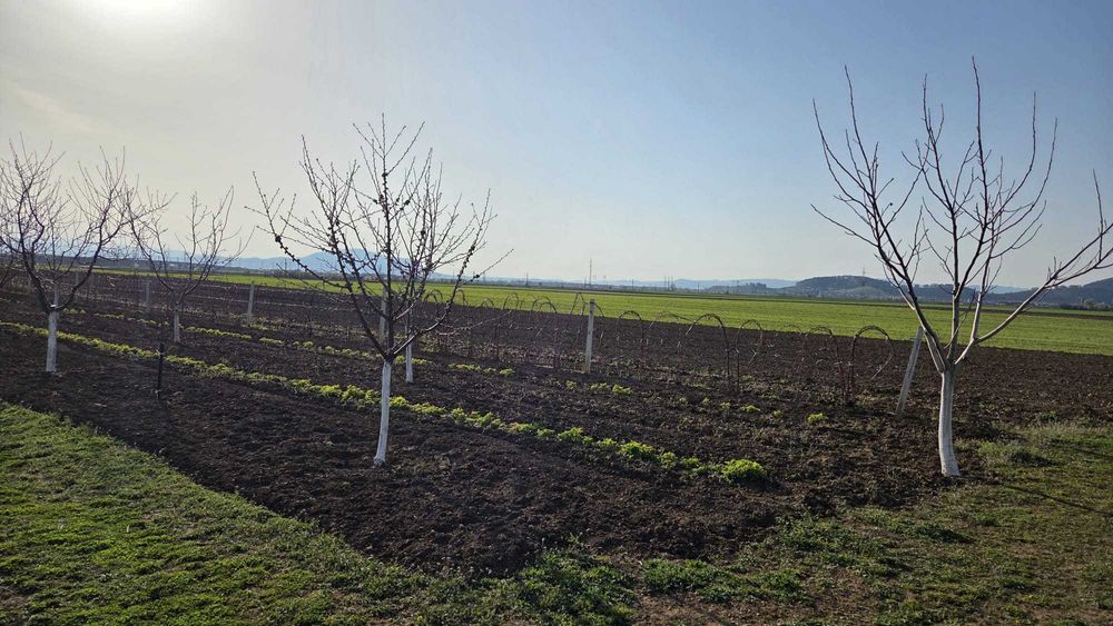 Teren livada Harman, Brasov (suprafata totala sau parcelat)