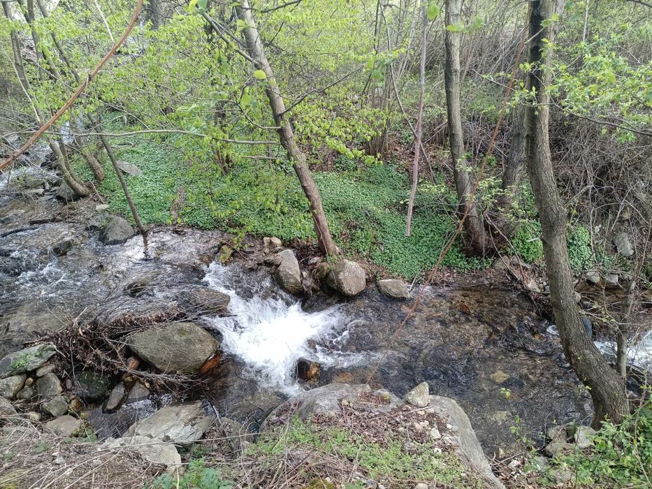 Продава се Земеделски имот в Карлово -  кв.м за 5750 €/дка - Снимка #18