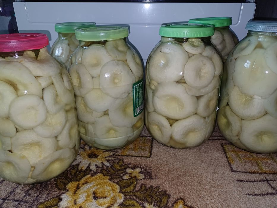 Грузди 2 литра 10 тыс