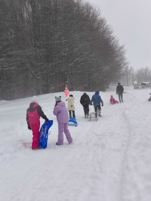 Cazare cabană inedita la munte   Ciubar, liniste . Pret flexibil.